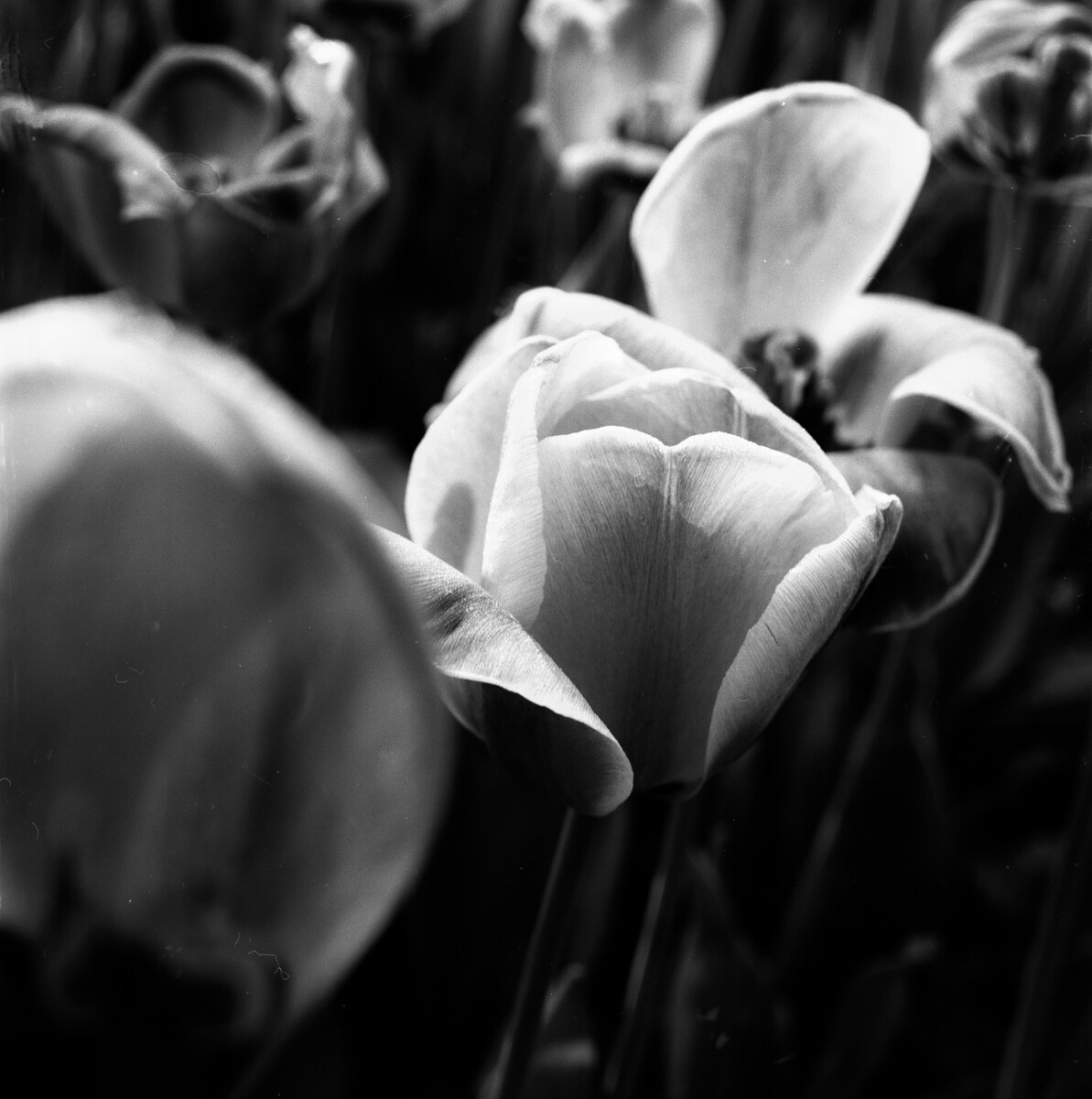ڰ2 - о - ͼ - Ӱʦ