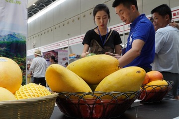图17