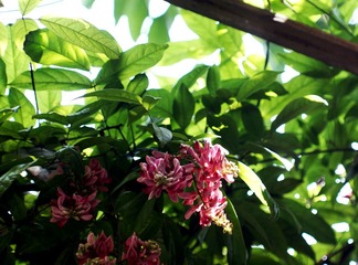 DSC04502.JPG