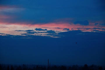 DSC04497 (2).JPG