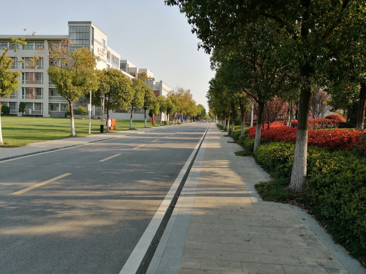 校园道路
