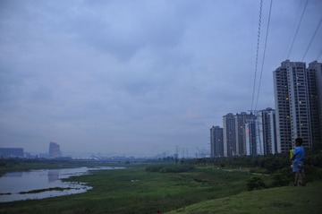 _DSC3601