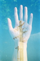 KODAK 400(2) 29