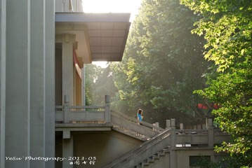 DSC_2901X.jpg