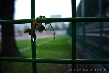 DSC_3431X.jpg