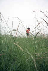 DSC_4002Y.jpg