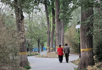 IMG_0182——副本3.jpg