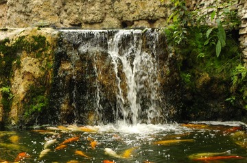 IMGP0675.jpg