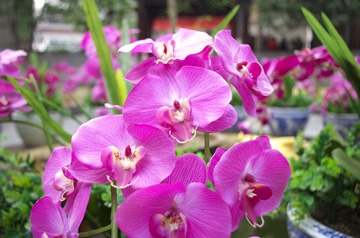IMGP0869.jpg