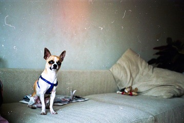 2013042624.jpg