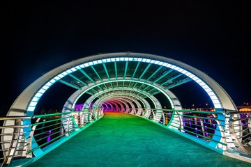 DPP_00029