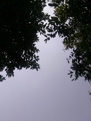 1628395