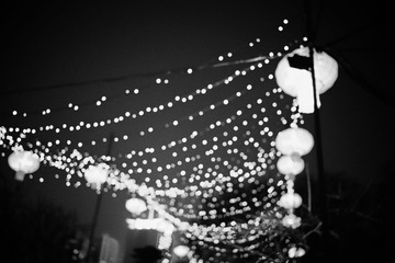 DSC00726.jpg