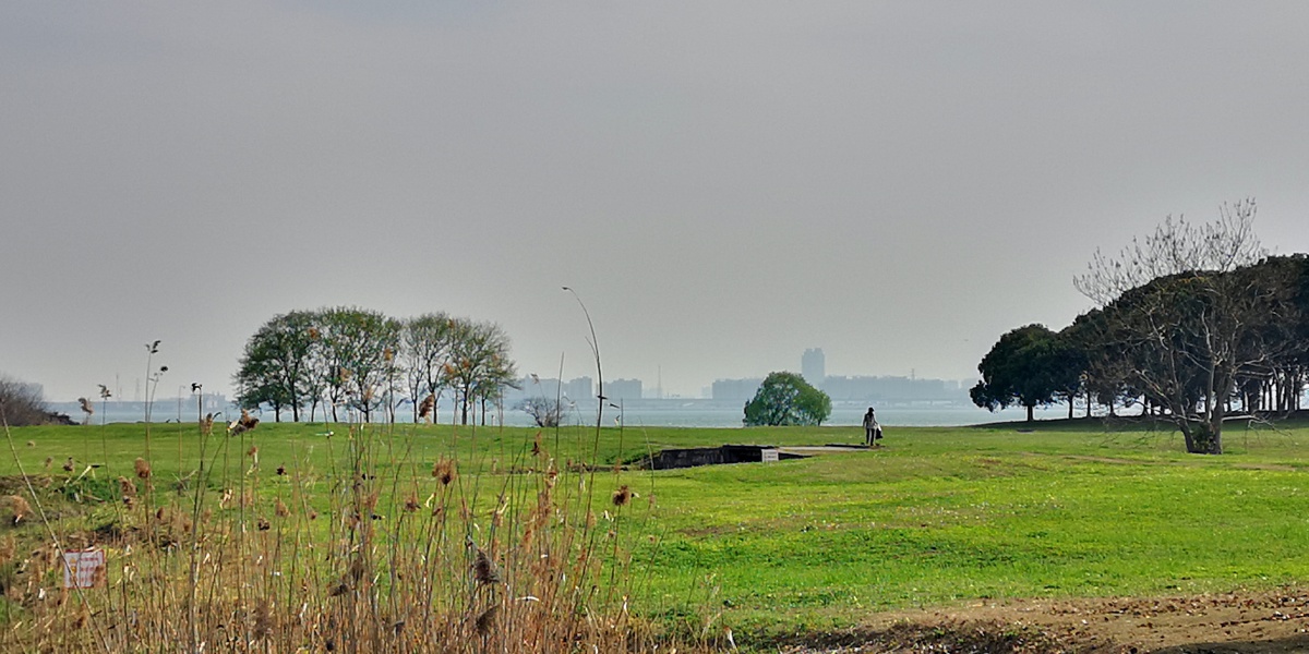 清明节前郊外踏青手机随手拍