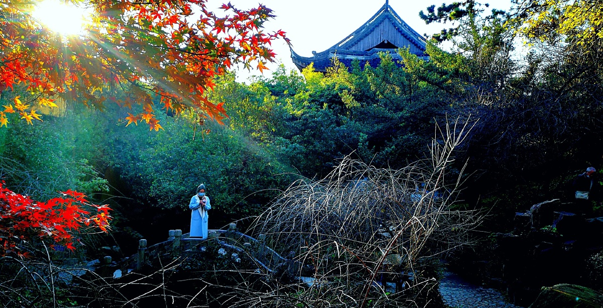 手机报恩寺庙抓拍禅韵