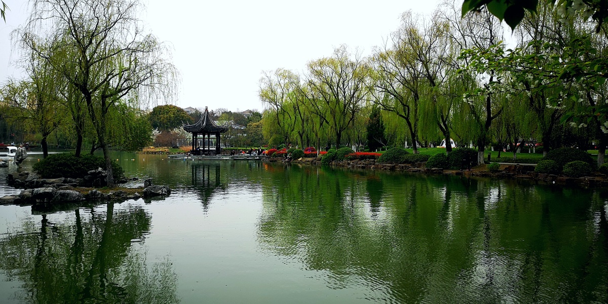 苏州吴江公园手机随手拍 - 郁林坤 - 图虫