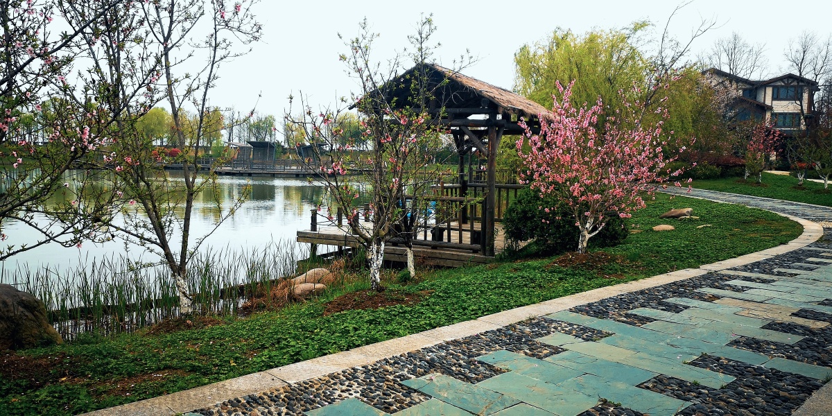 江南水乡镇湖杵山湿地公园手机拍摄的桃红柳绿