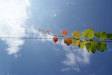 DSC01735.JPG