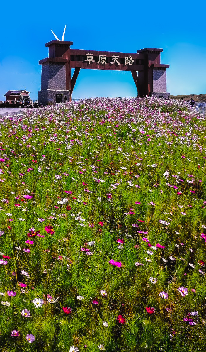 草原天路野狐岭