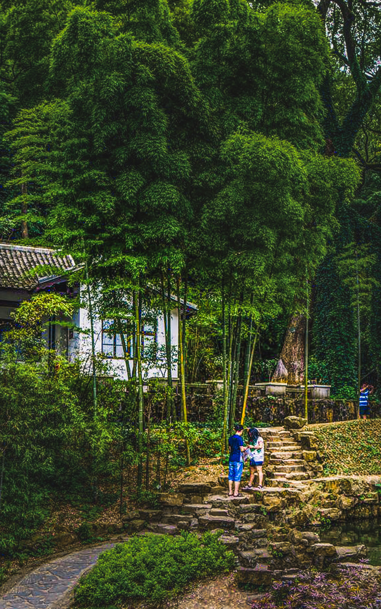 竹林深处有人家