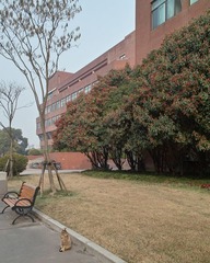 SDIM0038