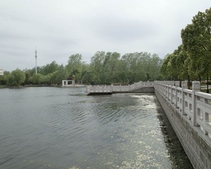 SDIM0450