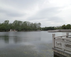 SDIM0456