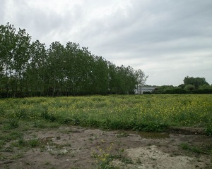 SDIM0471