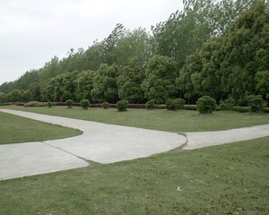 SDIM0476