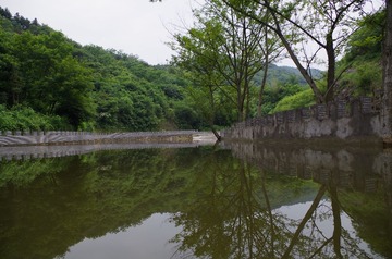 IMGP0959.JPG