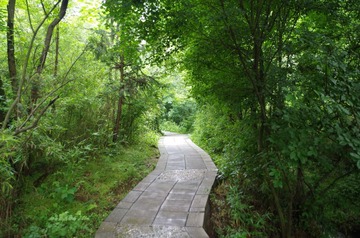 IMGP0961.JPG