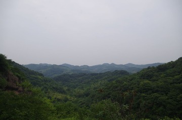 IMGP1094.JPG