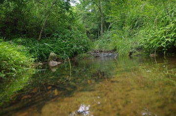 IMGP1110.JPG