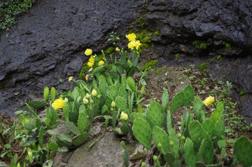 IMGP1114.JPG