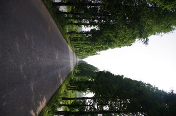 IMGP1206.JPG