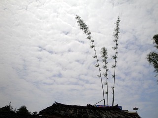 DSC06448.JPG
