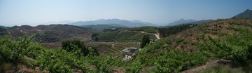 SAM_1935-Pano
