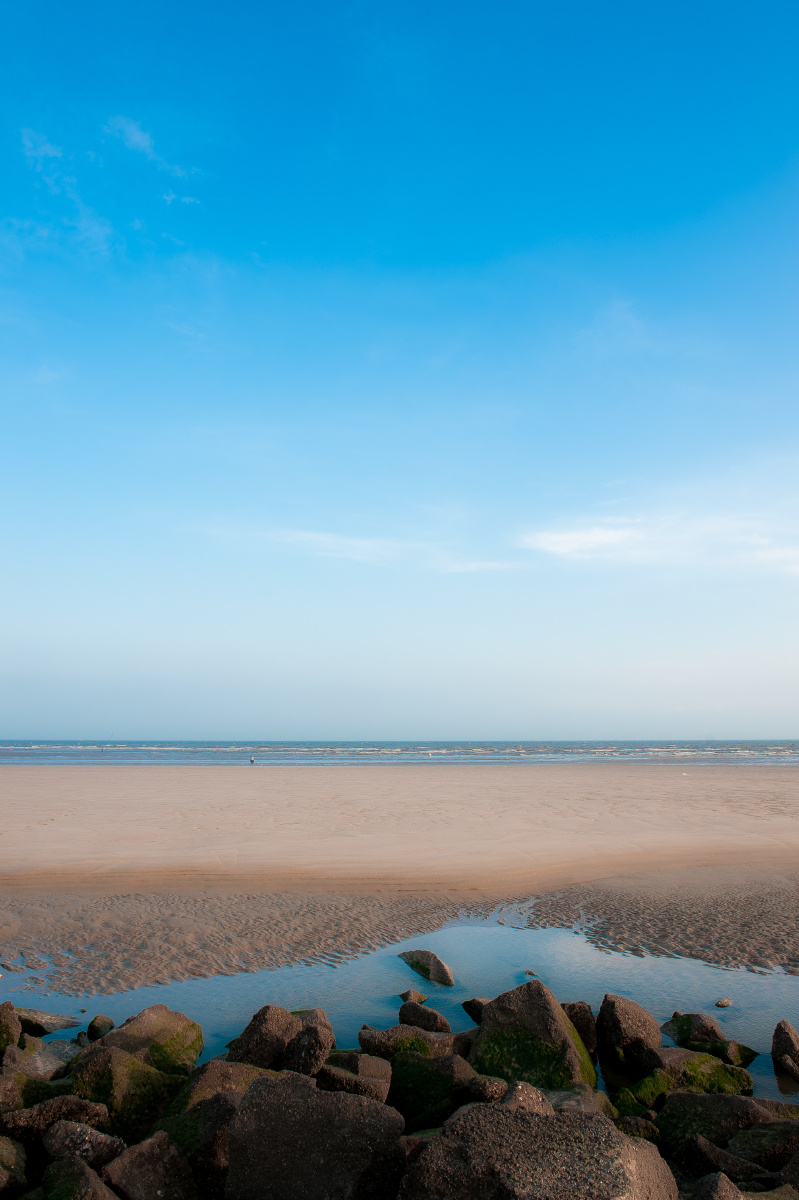 大海啊!全是水.