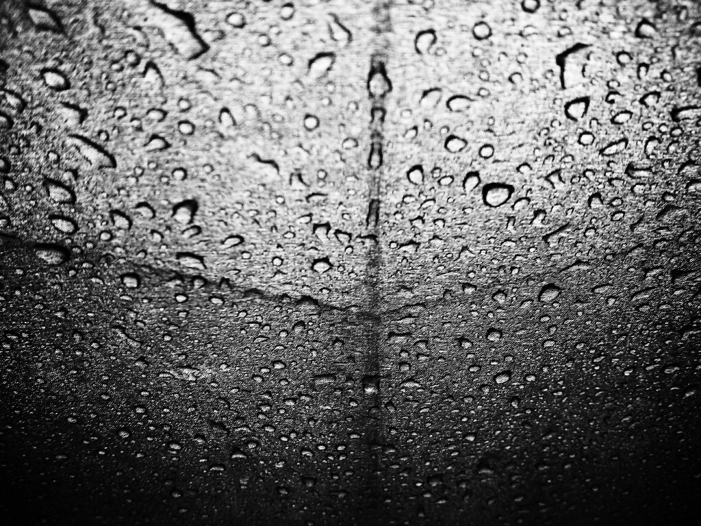 雨水它冲刷不掉悲伤 也冲刷不了喜悦 它只是顺着心的方向而流淌
