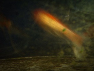 R0016812