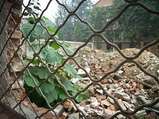 R0017552