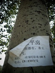 R0017813.JPG
