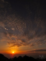 IMG_3226.jpg