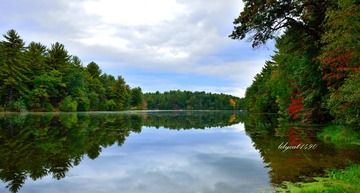 _DSC4029a