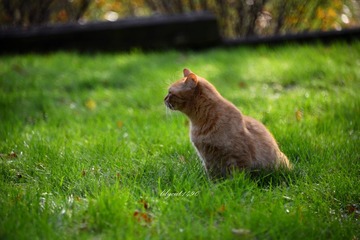 _DSC3805