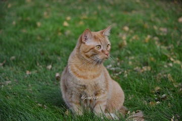 _DSC3846