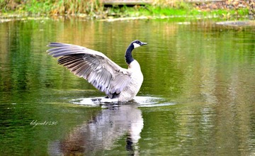 _DSC1908_01