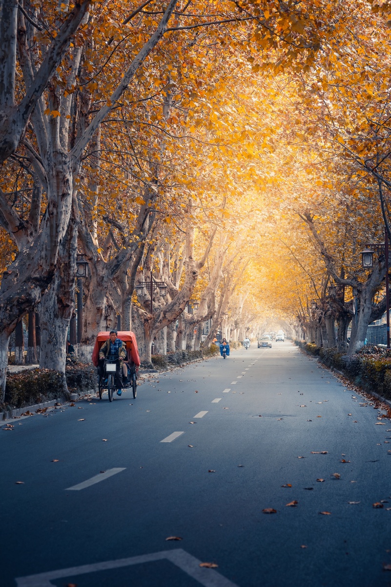 广陵的秋天扬州淮海路