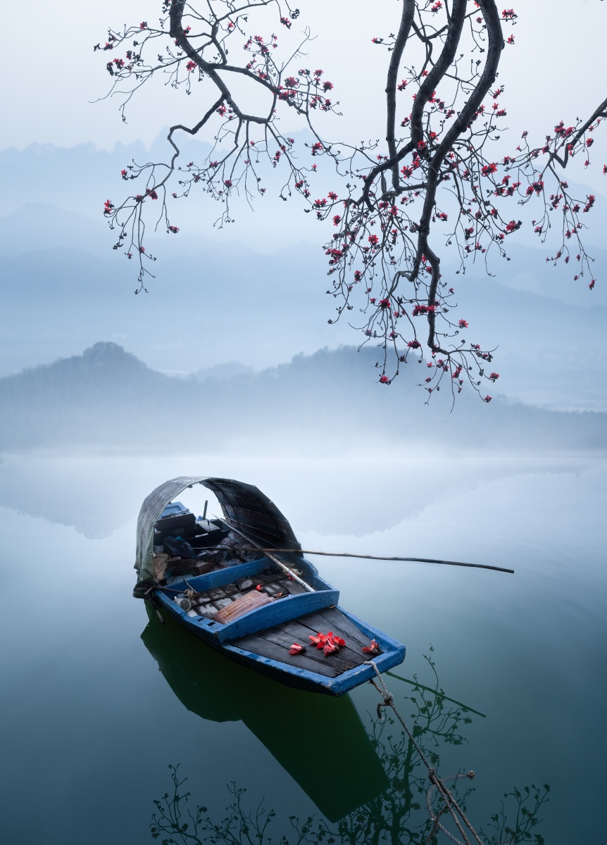 野渡无人舟自横一个木棉盛开的季节摄于广东潮州