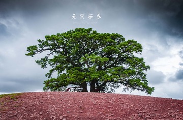 无问西东